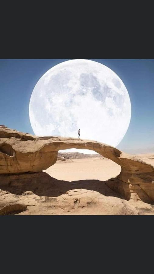 Wadi Rum-Bedouin Tents And Jeep Tours Екстериор снимка
