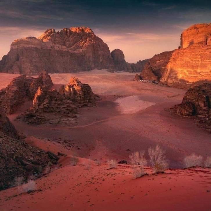 Wadi Rum-Bedouin Tents And Jeep Tours Екстериор снимка