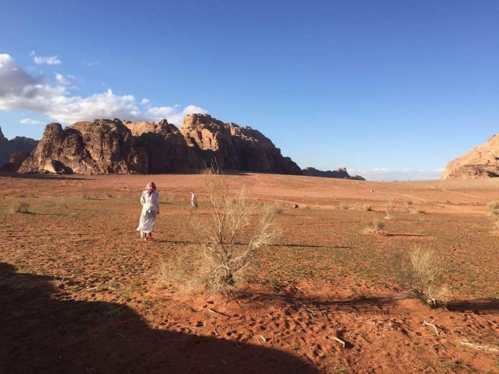 Wadi Rum-Bedouin Tents And Jeep Tours Екстериор снимка