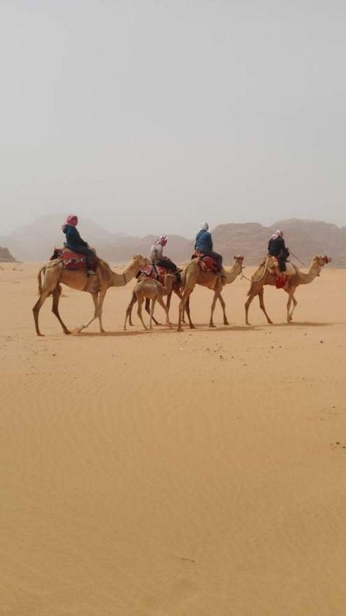 Wadi Rum-Bedouin Tents And Jeep Tours Екстериор снимка